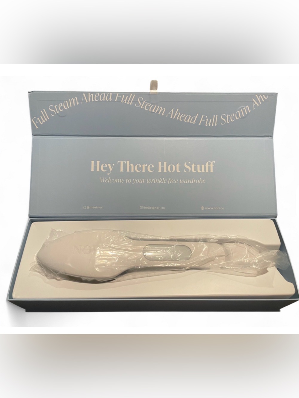 NIB Nori Handheld Press Steam Iron